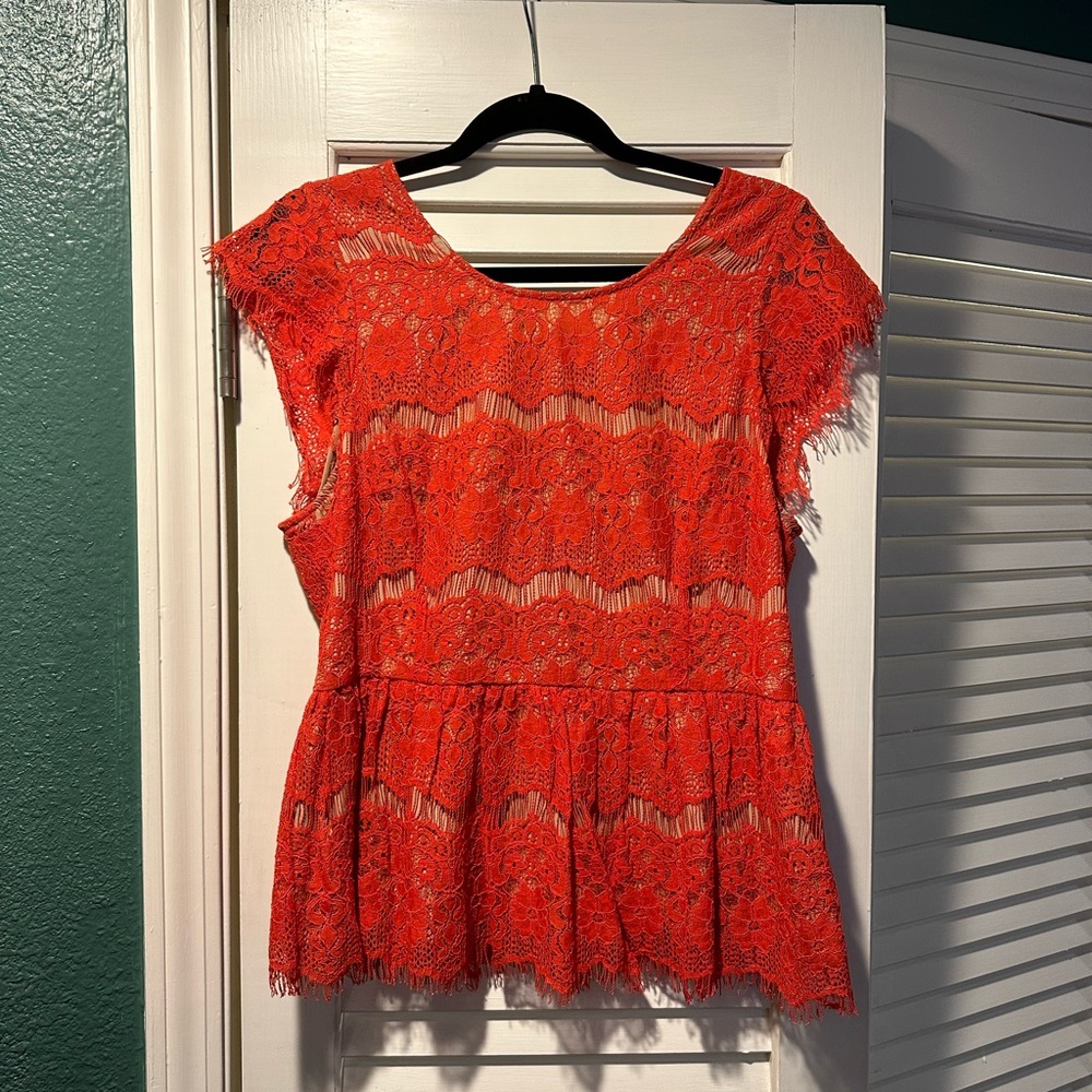 Anthropologie Mauve, large, lace mid length top